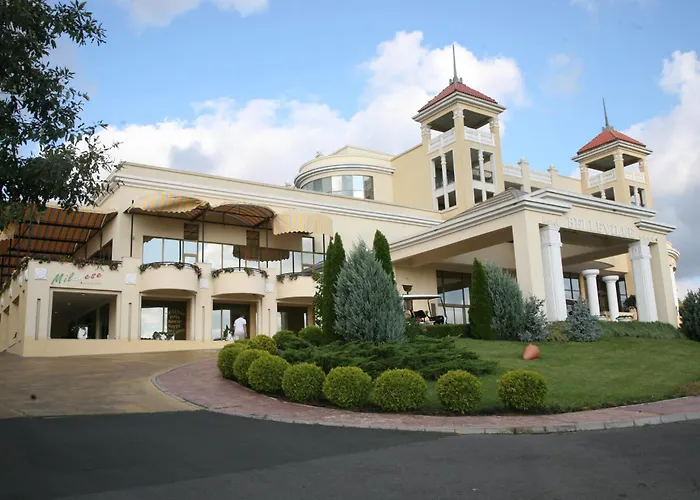 Duni Belleville סוזופול